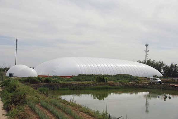 植物园膜结构